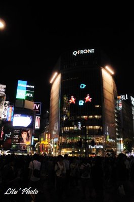 DSC_0769.jpg
