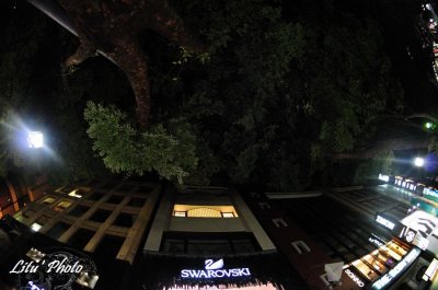 DSC_0848.jpg