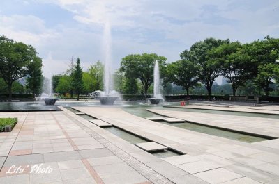 DSC_0907.jpg