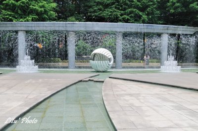 DSC_0910.jpg