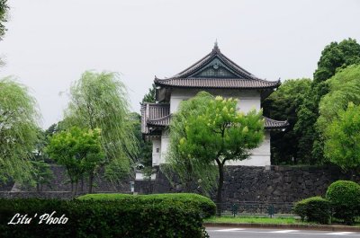 DSC_0913.jpg