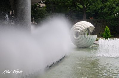 DSC_0918.jpg