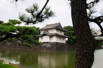 DSC_0935.jpg