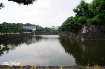 DSC_0983.jpg