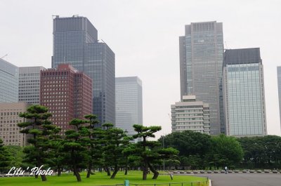DSC_0985.jpg