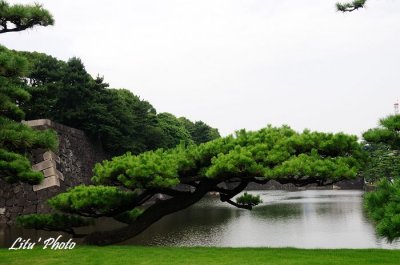 DSC_0990.jpg
