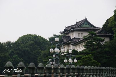 DSC_0995.jpg