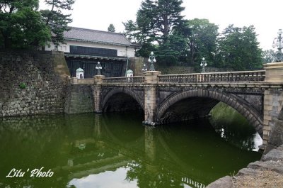DSC_1003.jpg