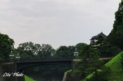 DSC_1008.jpg