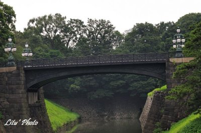 DSC_1014.jpg