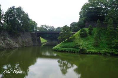 DSC_1023.jpg
