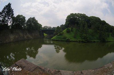 DSC_1031.jpg