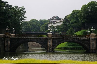 DSC_1041.jpg