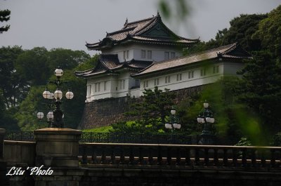 DSC_1057.jpg