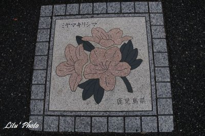 DSC_1073.jpg