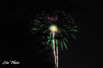 DSC_1207.jpg