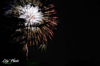DSC_1238.jpg