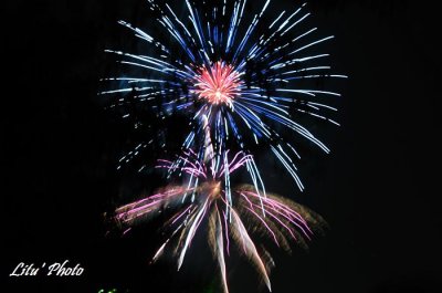 DSC_1239.jpg