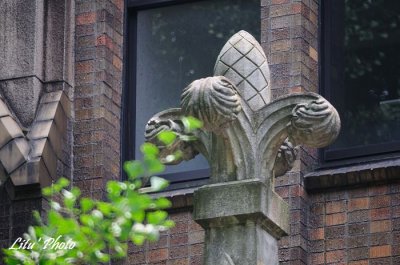 DSC_1399.jpg