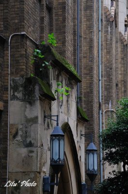 DSC_1424.jpg