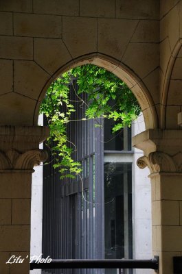 DSC_1495.jpg