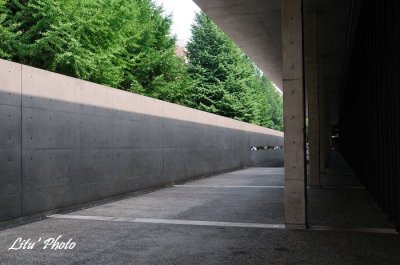 DSC_1500.jpg