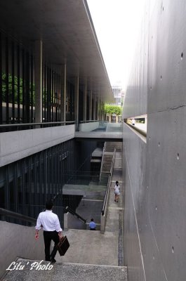 DSC_1508.jpg