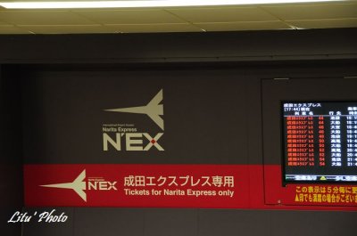 DSC_1536.jpg