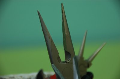 DSC_3407.jpg