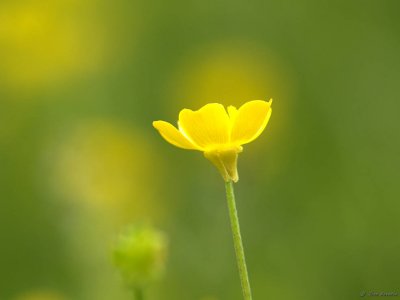 P4301218