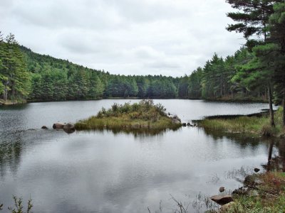 Trailhead Pond
