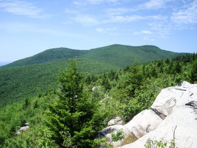 Mt. Flagg Hike - 06/25/10