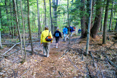 On the Trail