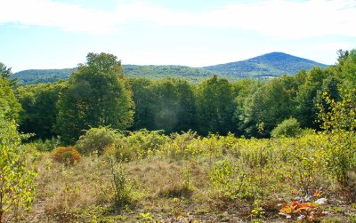 View of Mt. Rowe & Mt. Belknap