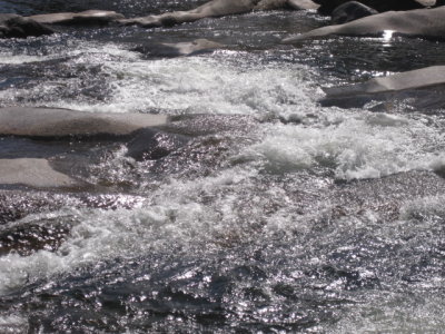 Rushing Water at the Cascades