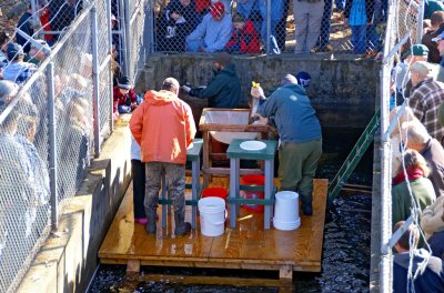 Fish & Game staff at the egg stripping demonstration