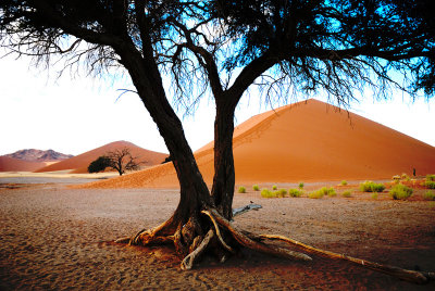 Dune 49 - Namibia