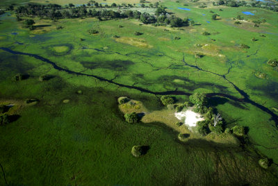 Ogavanga delta - Botswana