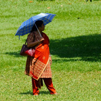Lady in the Royal Botanical Gardens - Kandy - Sri Lanka