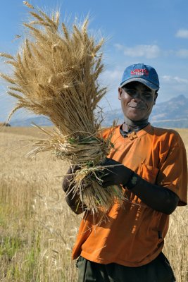 Ethiopian farmer