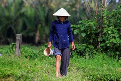 Lady at a ricefield