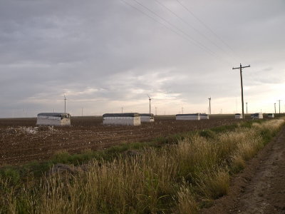 PA216929.jpg