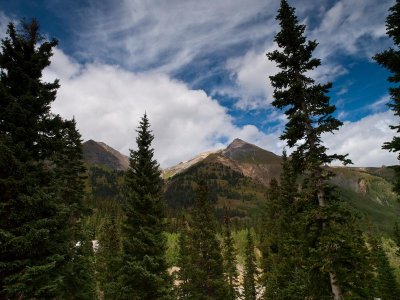 Along the road to Yellowstone