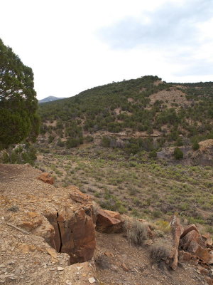 Along the road to Yellowstone