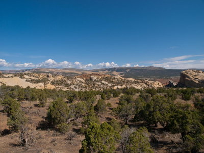 Along the road to Yellowstone