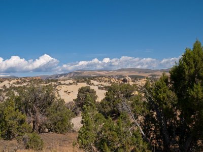 Along the road to Yellowstone