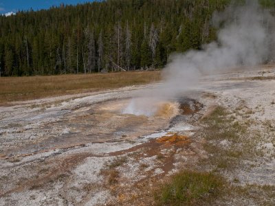 Upper geyser basin, Yellowstone