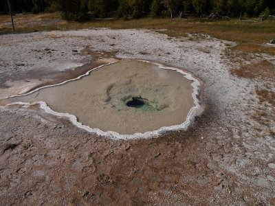 Upper geyser basin, Yellowstone