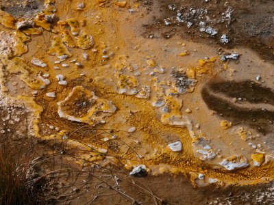 Upper geyser basin, Yellowstone