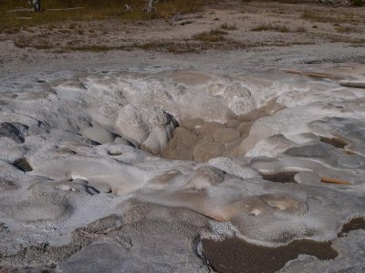 Upper geyser basin, Yellowstone